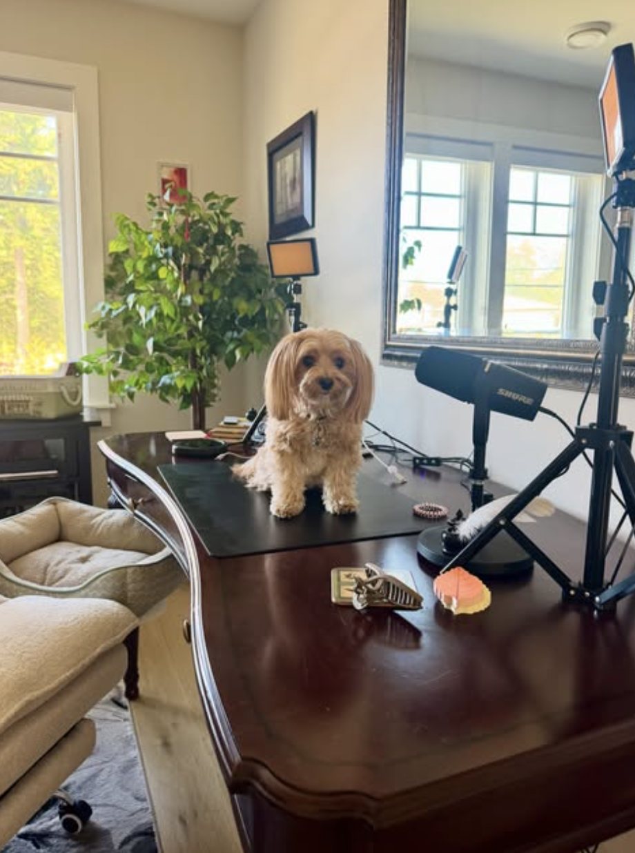 Teddy, Wendy S. Burton's dog